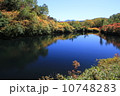 式部沼 10748283