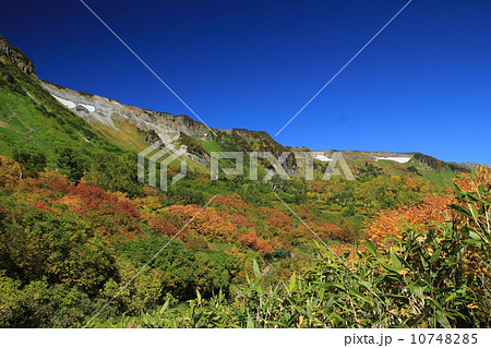 高根ヶ原尾根 10748285