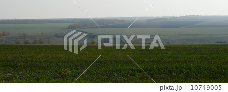 landscape 10749005
