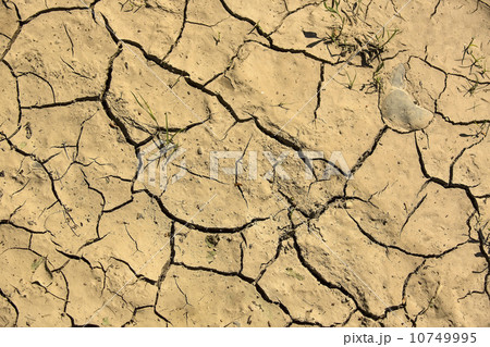 cracked earth removed closeup 10749995