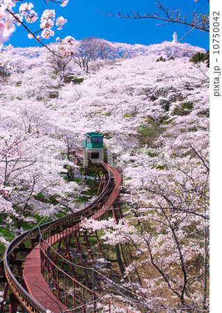 宮城　柴田町　船岡城址公園 10750042