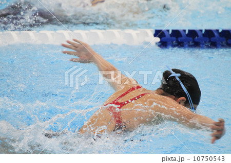 バタフライ 10750543