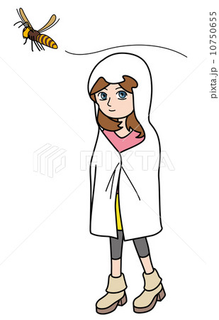 スズメ蜂 なこと 白い布等を被るのイラスト素材