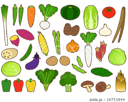 エレガントかわいい 野菜 イラスト 簡単 イラスト画像