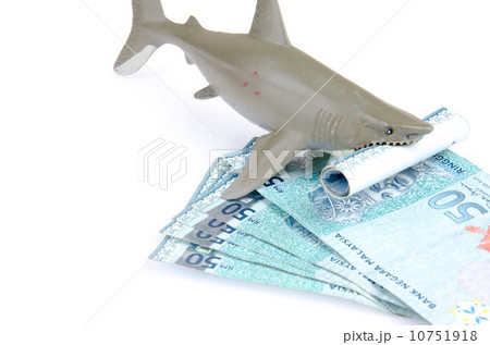 Grey toy shark and stacked of money: A concept of loan shark Grey toy shark and stacked of money: A concept of loan shark 10751918