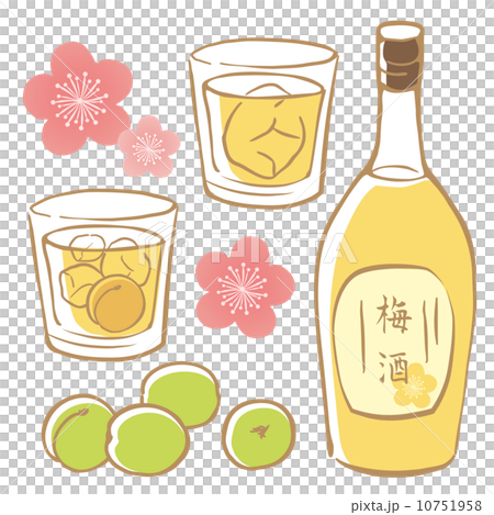 梅酒 梅酒 10751958