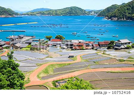 日引の棚田と春の海 10752416