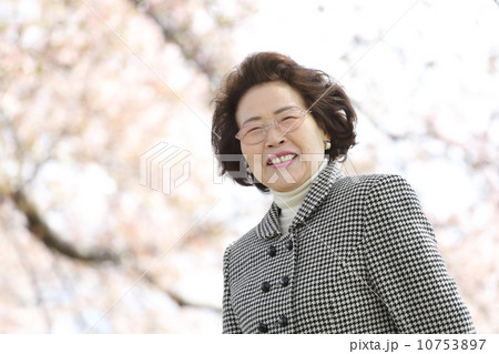 桜と三人のシニア 10753897