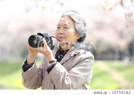 桜とカメラを持つシニア 10754182