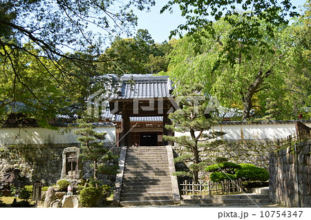 高月院 高月院 10754347