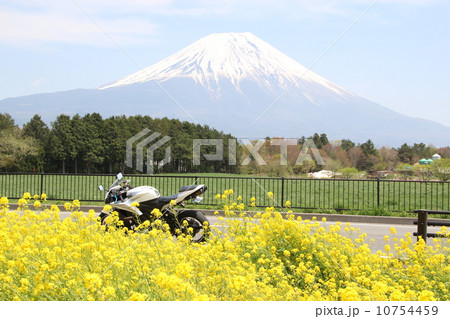 春の富士山 春の富士山 10754459