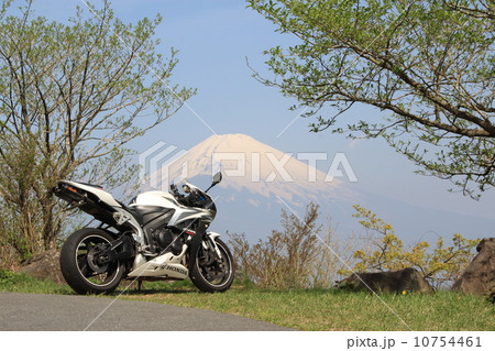 緑の中の富士山 緑の中の富士山 10754461