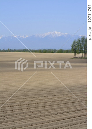 十勝の春 10754762