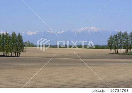 十勝の春 十勝の春 10754763