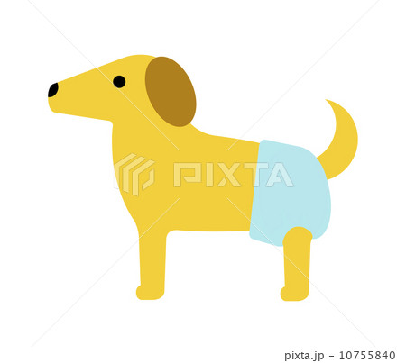 おむつを履いている犬のイラスト素材