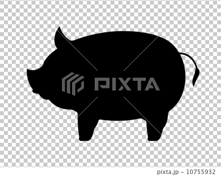 豬剪影 10755932