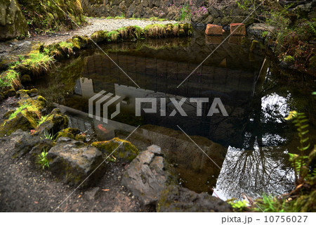 忍野八海　釜池 10756027