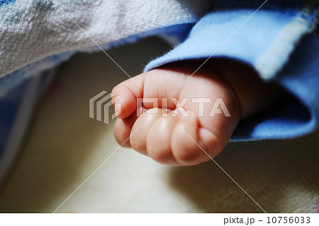 赤ちゃんの手 赤ちゃんの手 10756033