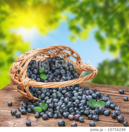 Blueberries in a basket 10756286