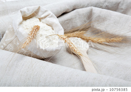 Flour and wheat grain on sackcloth Flour and wheat grain on sackcloth 10756385
