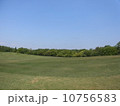 高原 10756583