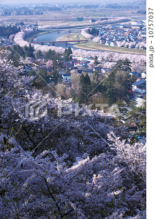 秋田　仙北市　角館 10757037