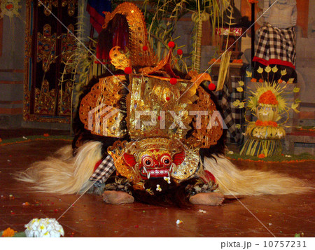 バリダンス(バロン) バリダンス(バロン) 10757231