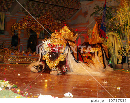 バリダンス（バロン） 10757355