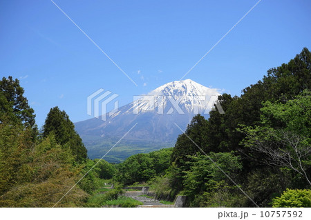 5月風景・富士山479新緑の富士見橋 10757592