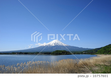 5月風景・富士山470新緑の河口湖 10757601