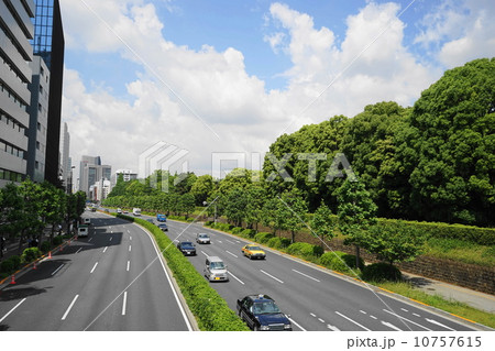 5月都市の風景・街並み467新緑の青山通 10757615
