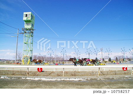 ばんえい競馬 10758257