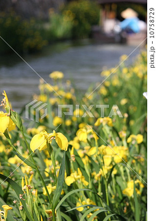 春の八幡堀 10758729