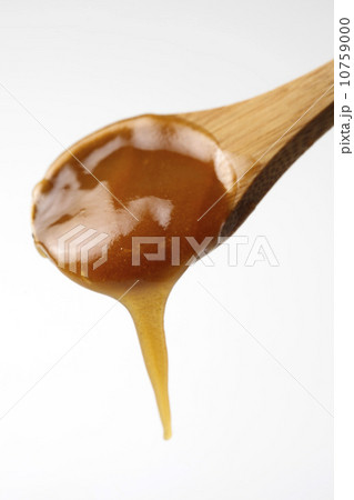 マヌカハニー 10759000