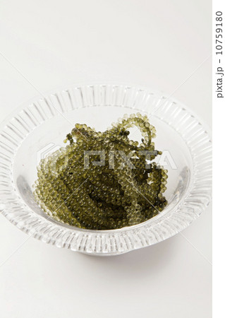 海ぶどう 10759180