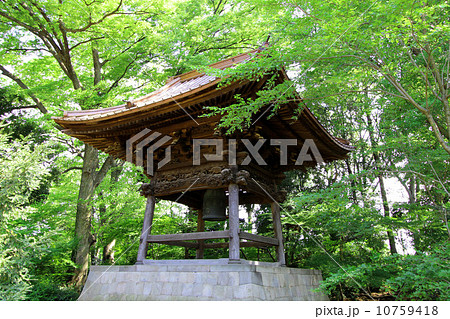 九品仏浄真寺 九品仏浄真寺 10759418