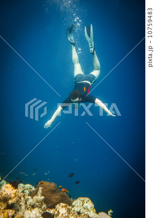 Snorkeler 10759483