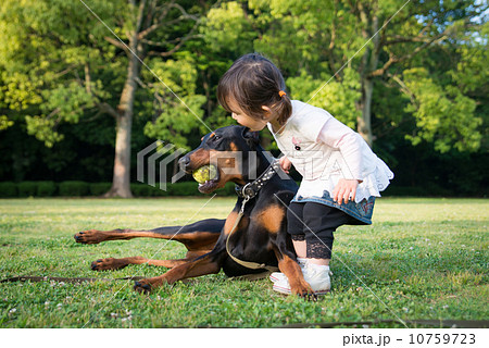少女とドーベルマン 10759723