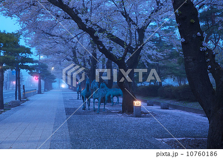 青森　十和田市 10760186