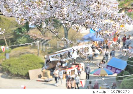 桜 10760279