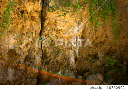 斎場御嶽 10760902