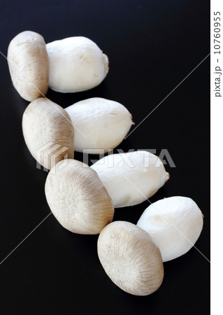 ホンシメジ 10760955