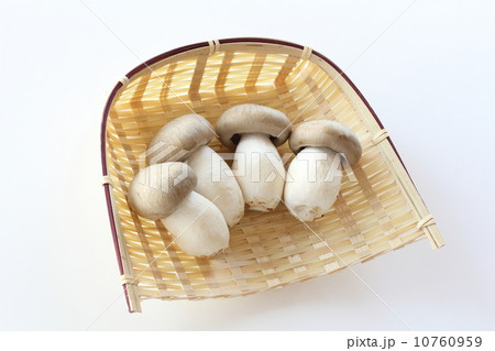 ホンシメジ 10760959