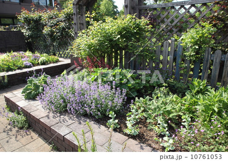 ガーデニング 10761053