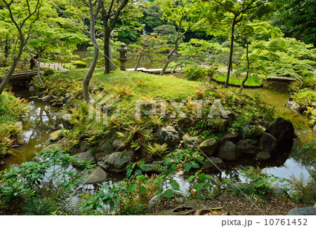 旧古河庭園・渓谷の趣 10761452