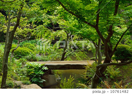 旧古河庭園・心字池に架かる石橋 10761482