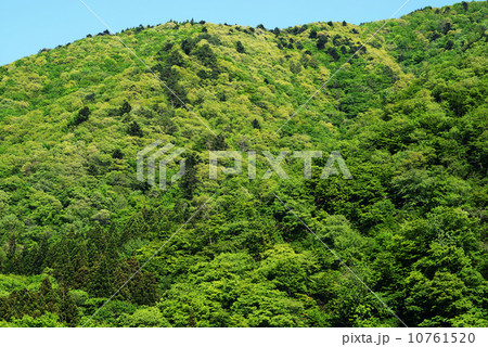 里山 里山 10761520