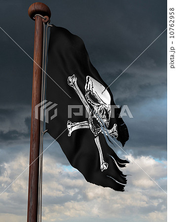 Pirate flag 10762958