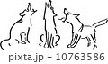 Three howling dogs 10763586