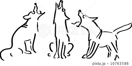Three howling dogs Three howling dogs 10763586